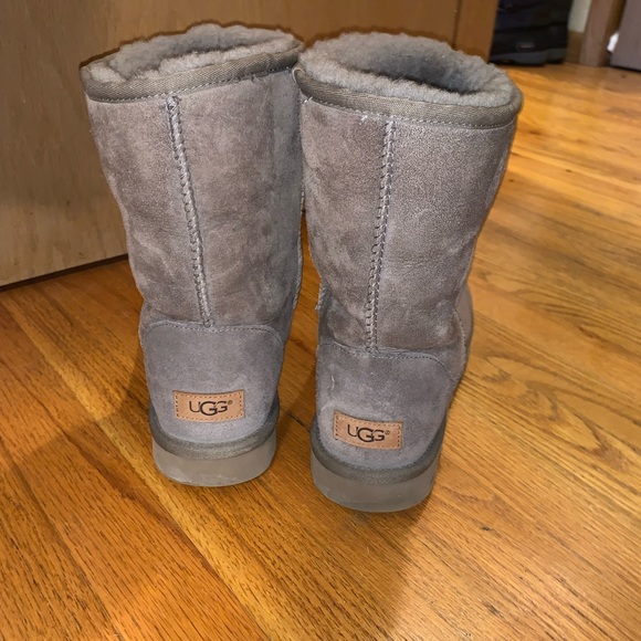 Rare Classic Short II Uggs - Picture 1 of 5
